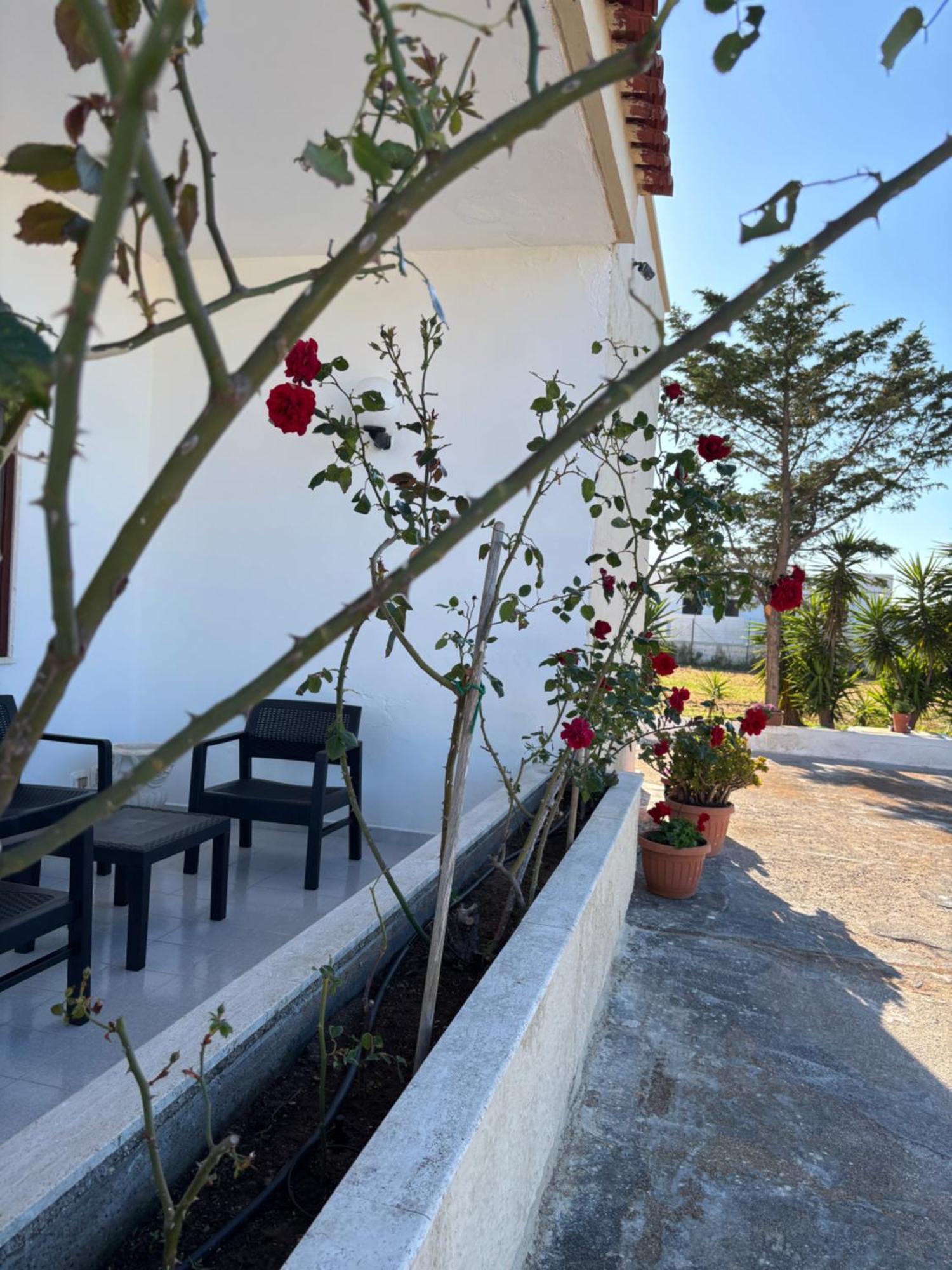 Lilly'S House Villa Torre Santa Sabina Exterior foto